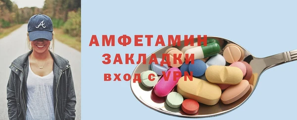 твердый Инта