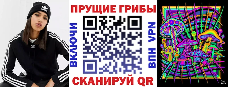 Купить где  Киселёвск  Псилоцибиновые грибы Magic Shrooms 